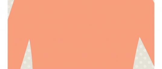 Una rete di adulti…per non cadere nella rete